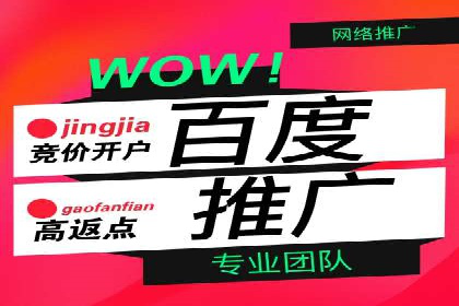 竞价开户推广成功案例解析